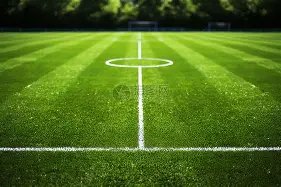 揭秘战局新,变数,萨拉赫替补,皇冠体育,皇冠体育官网,皇冠体育,皇冠体育官方网站