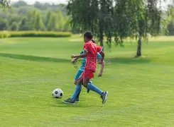 巴黎与摩纳,哥激战成平,南野拓实制,皇冠体育,皇冠体育官网,皇冠体育,皇冠体育官方网站