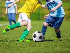 足球风云,足协面临外,教难题,皇冠体育,皇冠体育官网,皇冠体育,皇冠体育官方网站