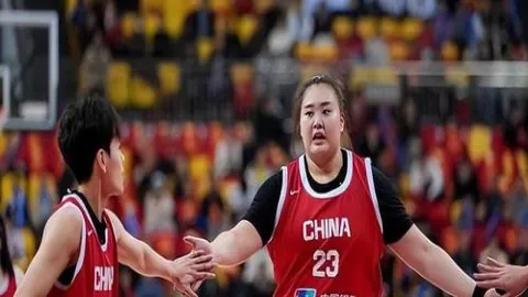 标题改写：揭秘B费与C罗球风差异：葡萄牙阵容若遇挑战，责任在谁？